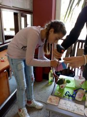 IMG_20171003_105034.jpg